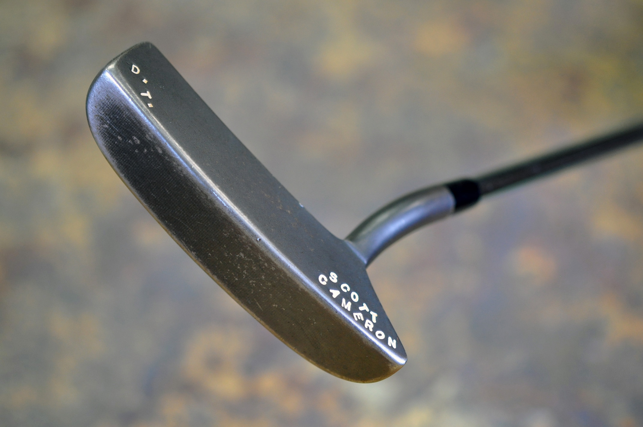 A023951, sole