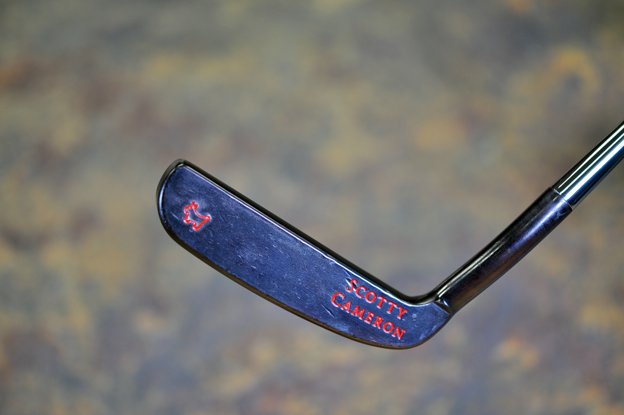 A025341, face