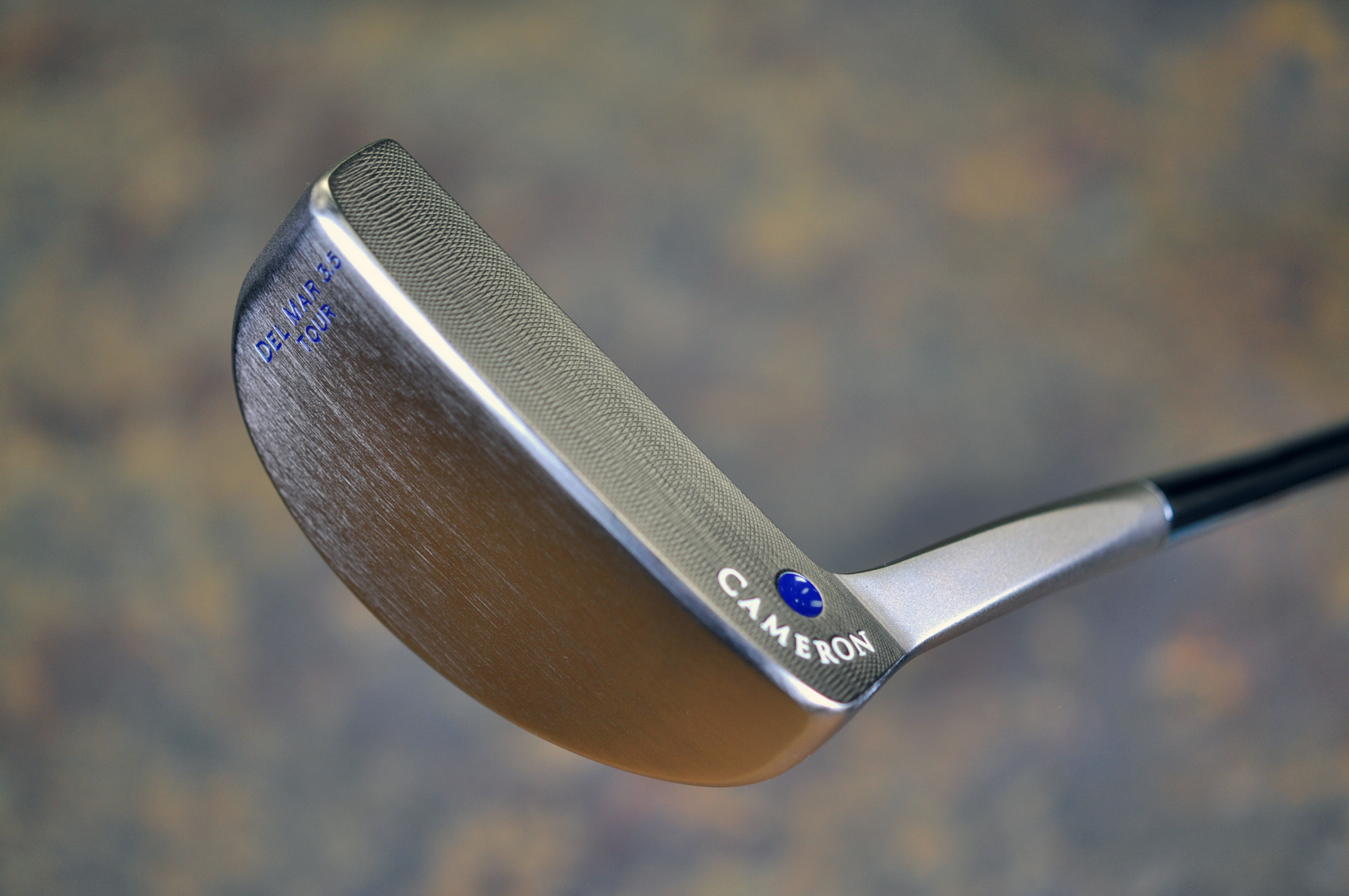 A025346, sole