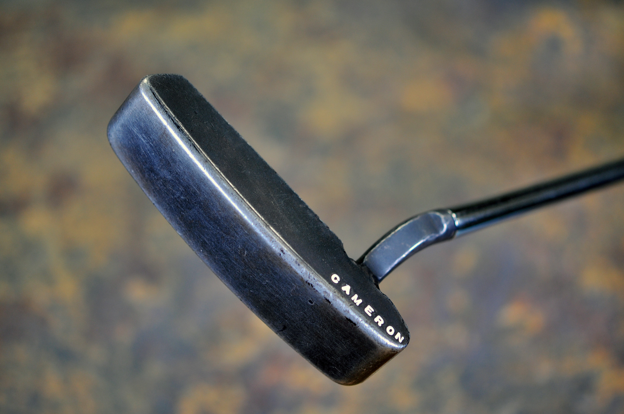 A025462, sole