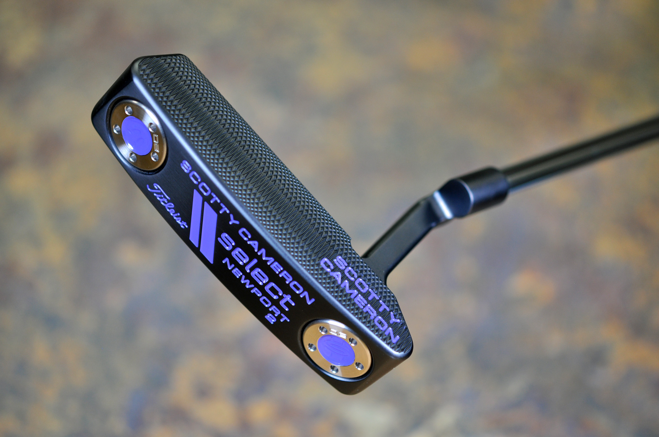 A025540, sole