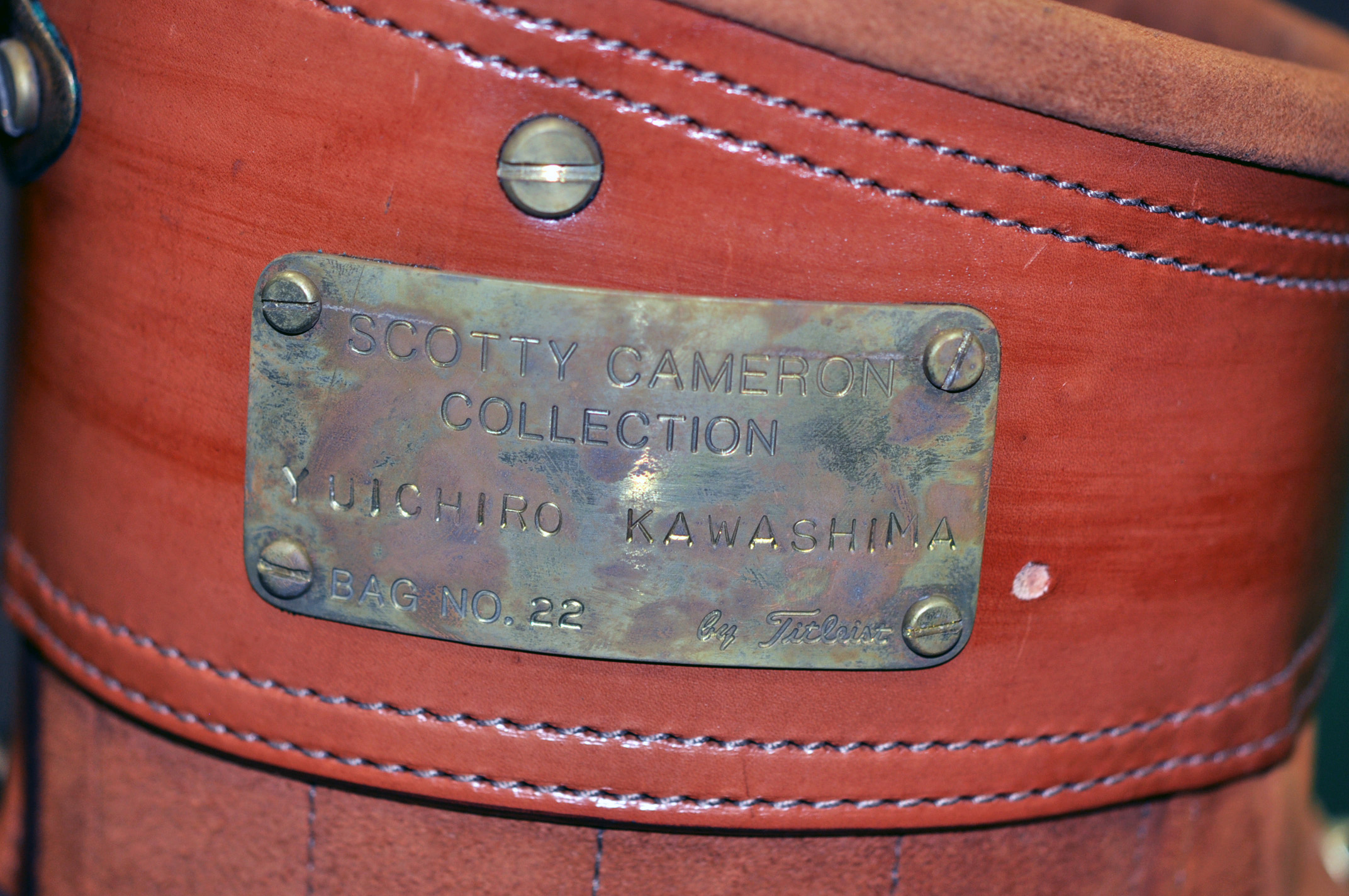 A025569, sole