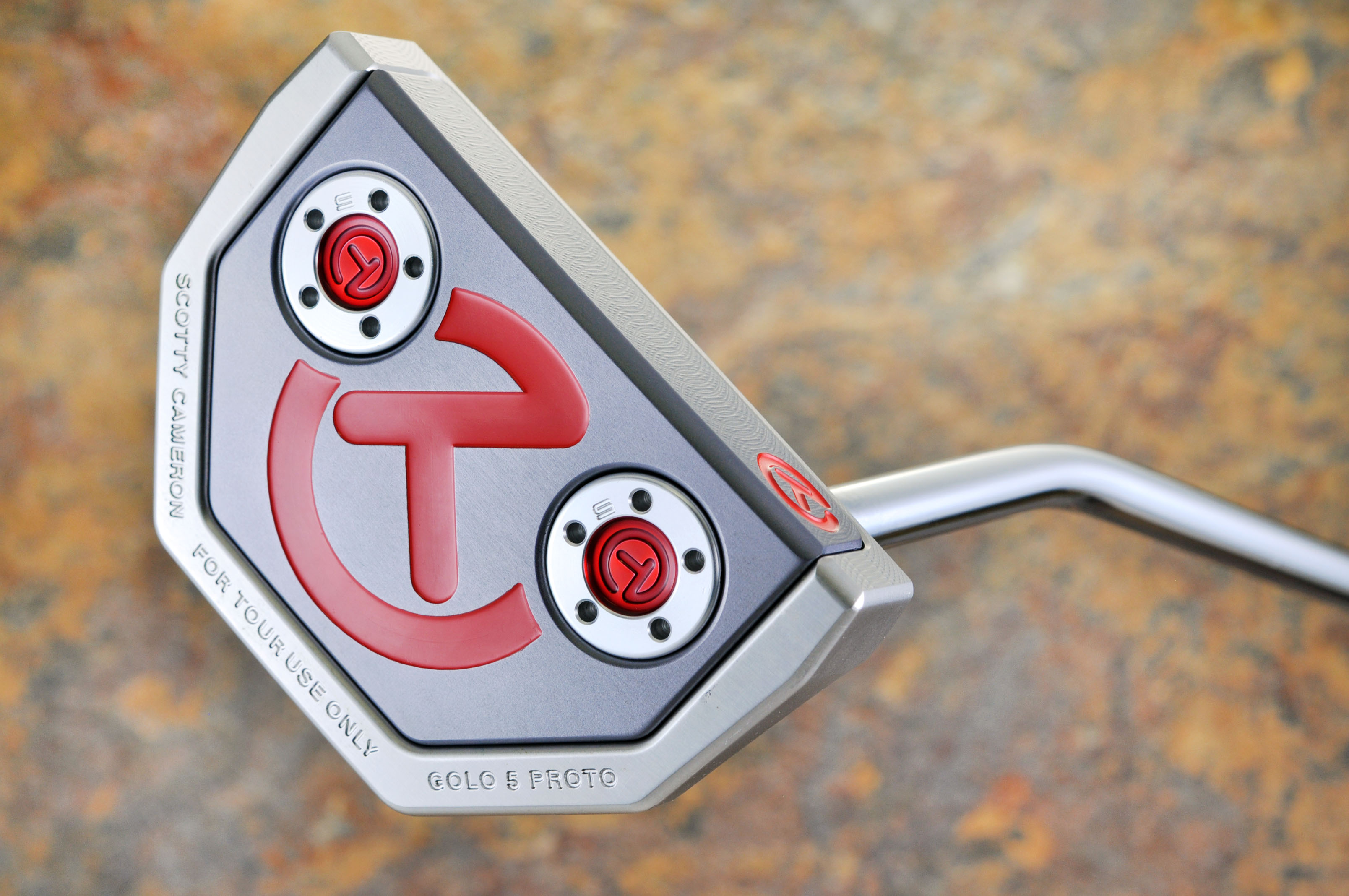 A029130, sole