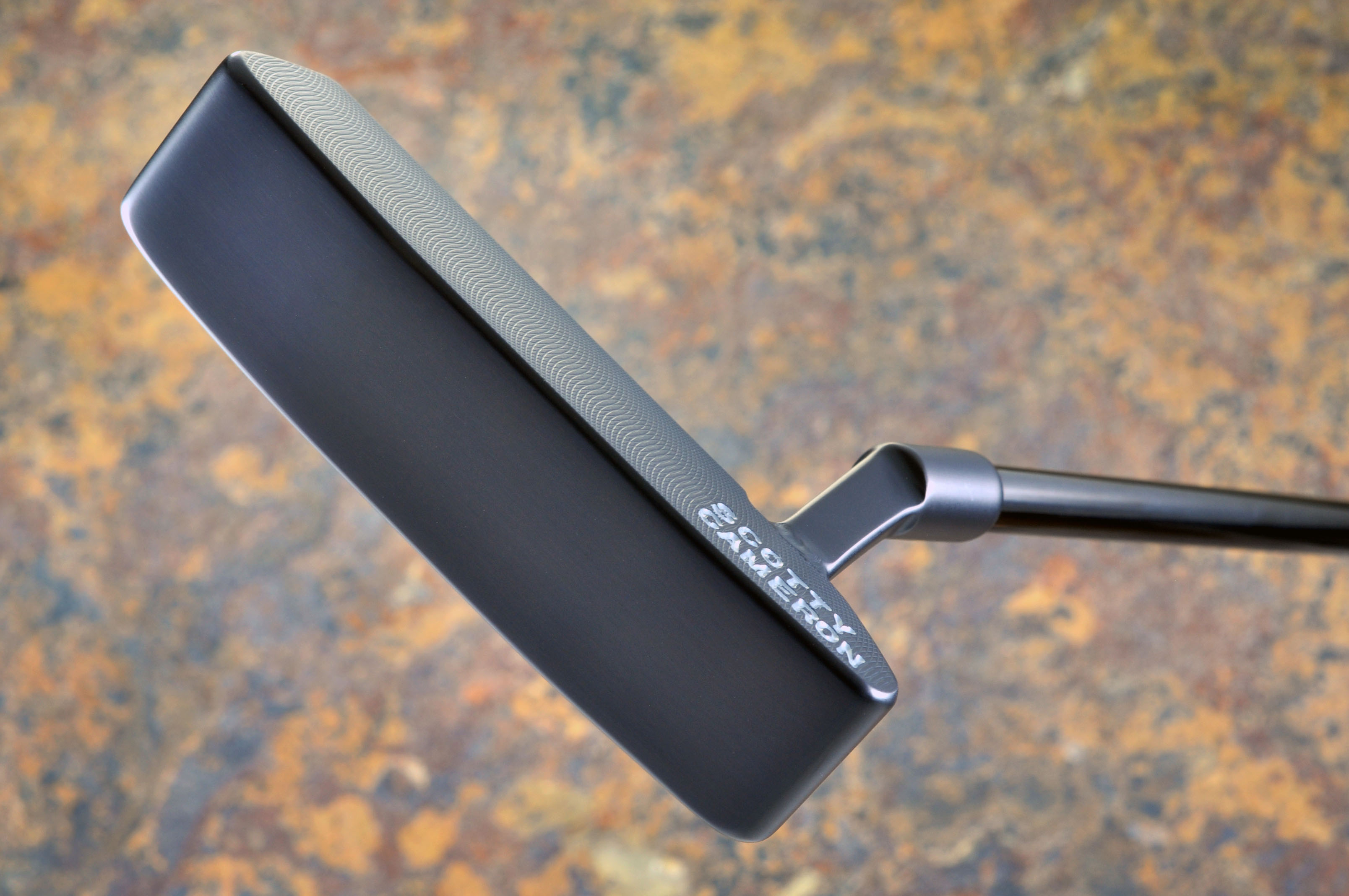 A029411, sole