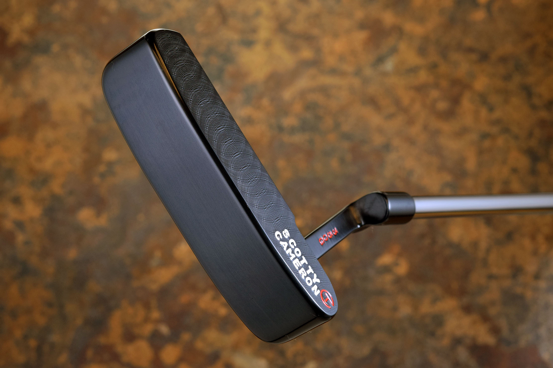 A031828, sole