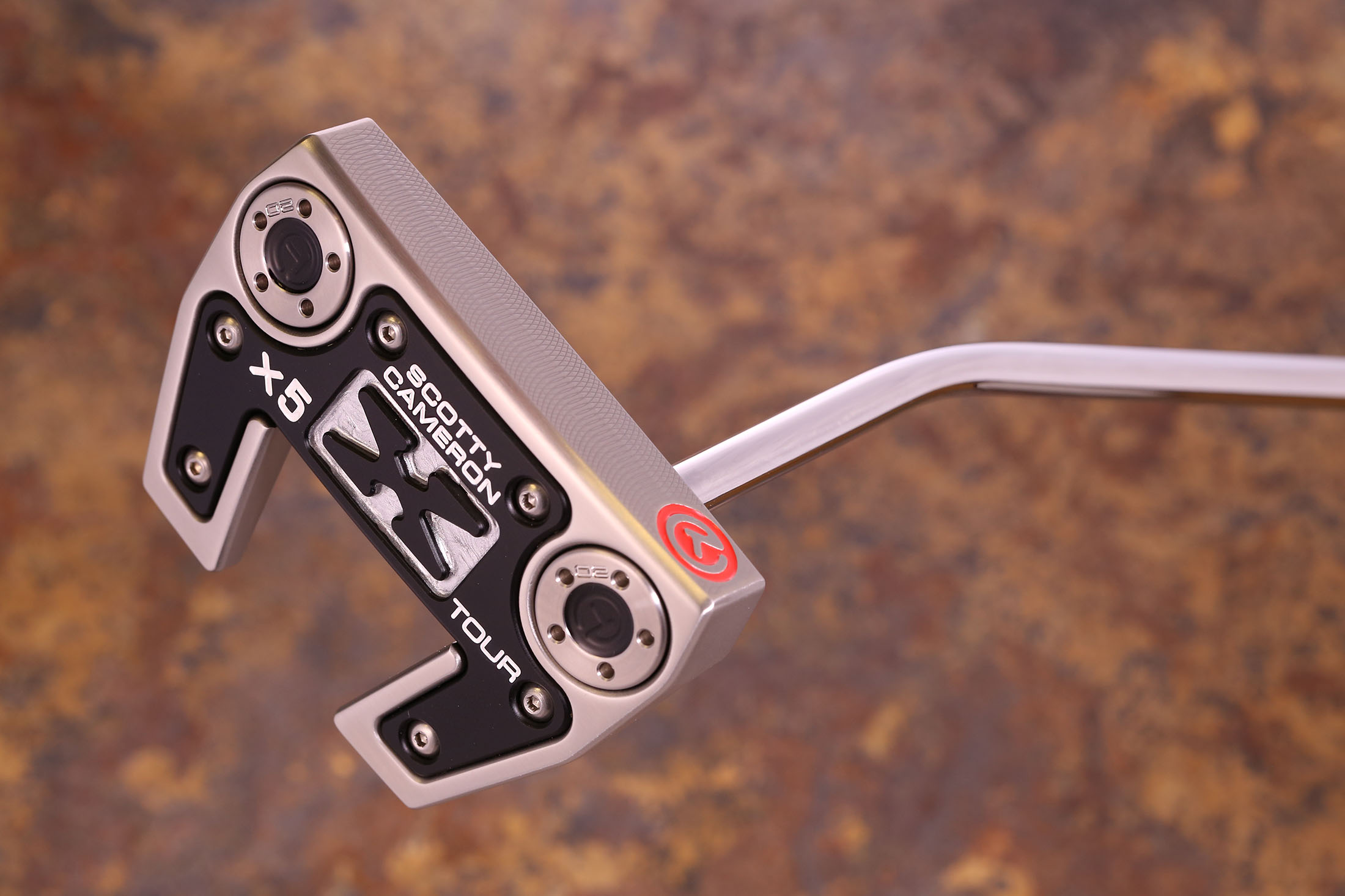 A033189, sole