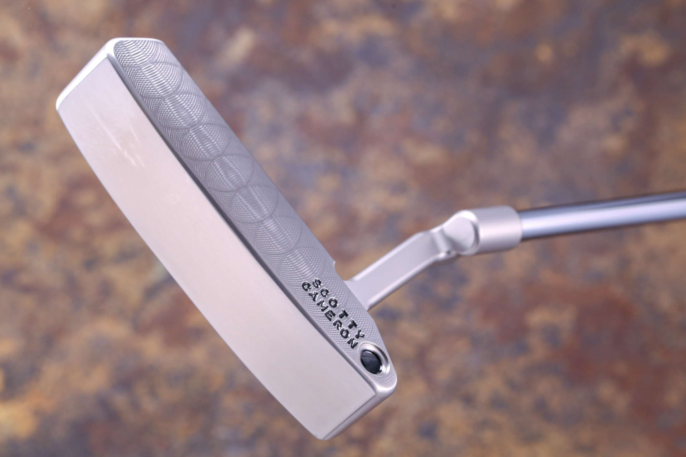 A042225, sole
