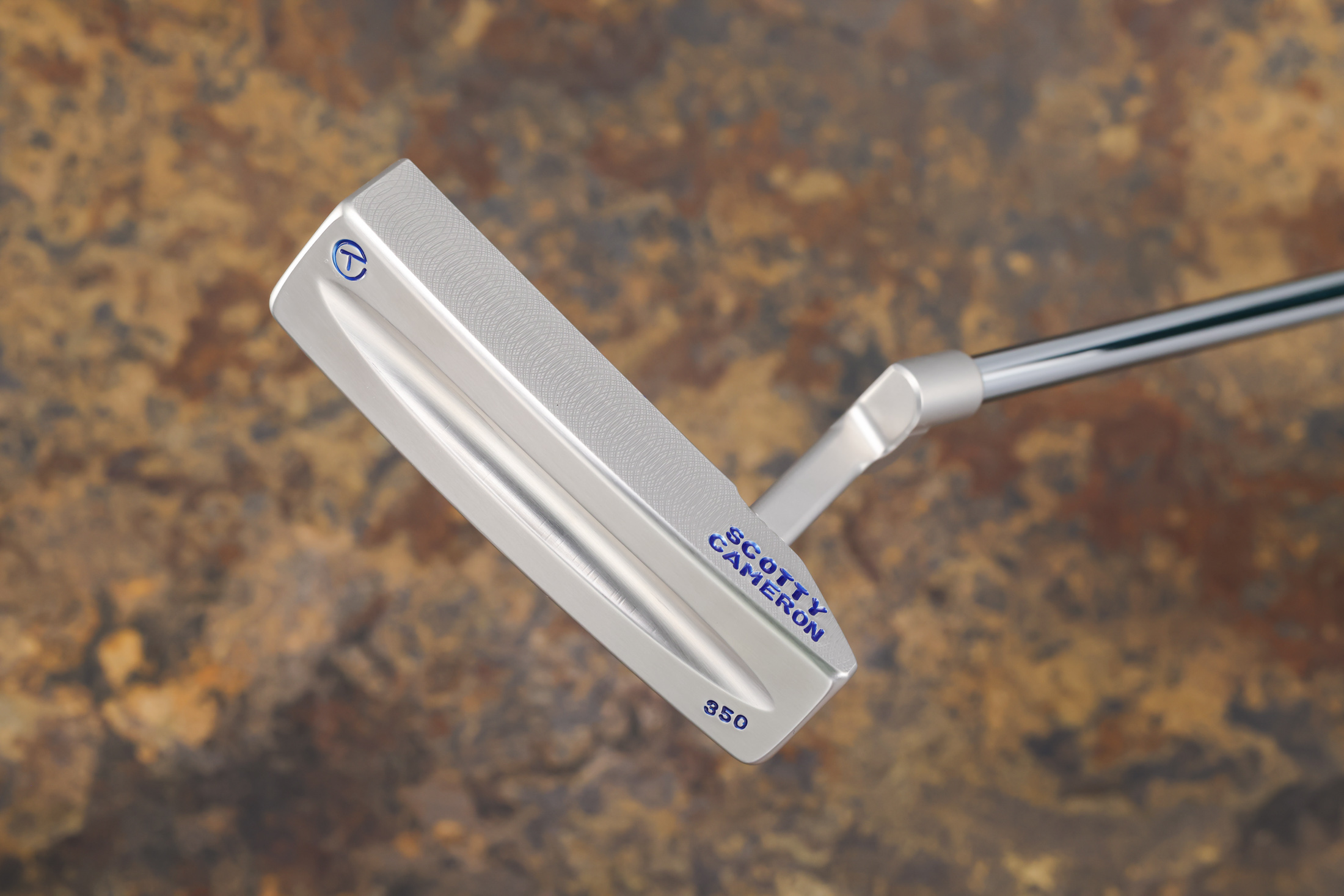 A066907, sole